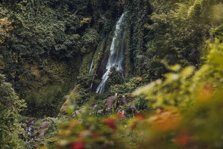 A waterfall in a forestの写真素材