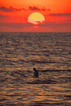 Woman sitting on a surfboard in front of a sunsetの写真素材