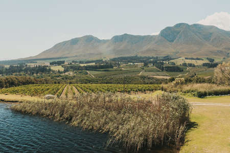 Landscape with beach and mountain. South Africa.の写真素材