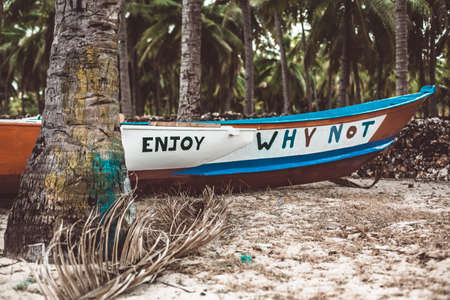 A boat sitting on top of a treeの写真素材