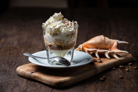 Ice cream with coffee, Affogato al Caffe Frappe with shell on the dark table.の写真素材