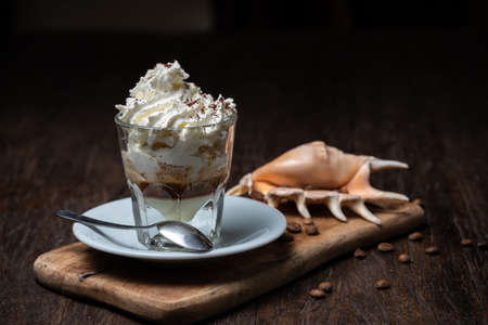 Ice cream with coffee, Affogato al Caffe Frappe with shell on the dark table.の写真素材