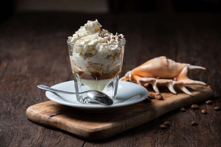 Ice cream with coffee, Affogato al Caffe Frappe with shell on the dark table.の写真素材