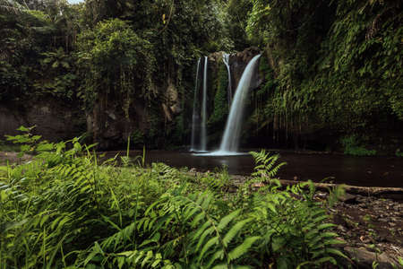 High waterfall in in tropical jungle. Purple flowers. Bali Indonesiaの写真素材