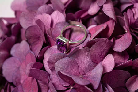 Purple Amethyst, Spine stone, Fluorit, Sugilite rectangular silver ringの写真素材