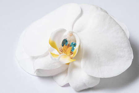 Fashion silver or white gold earrings with a blue oval aquamarine stone.の写真素材