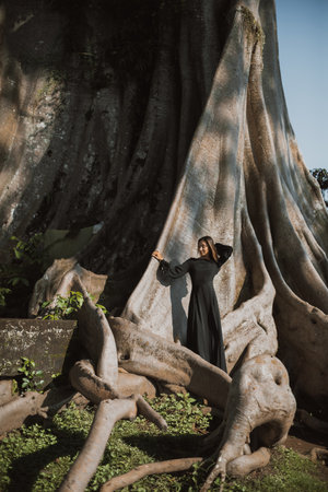 Brunette with long hair posing in a 700 years old Banyan tree. Bali, Indonesiaの写真素材