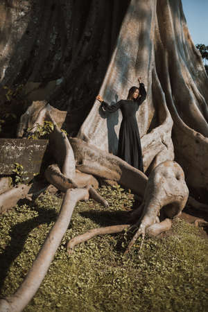 Women in long black dress on Banyan tree in summer day. Bali. Indonesia,の写真素材