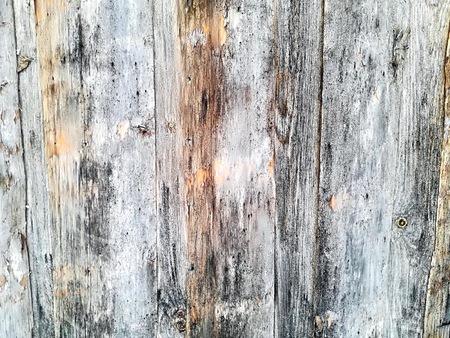 Rustic wood planks background textureの写真素材