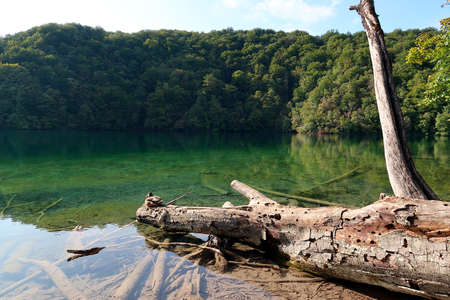 The famous Plitvice lakes national park in craotiaの写真素材