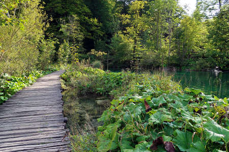 The famous Plitvice lakes national park in craotiaの写真素材