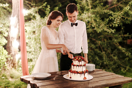the bride dresed white and groom cut the wedding cake under a large tree with bright lights garlands. wedding day and nightの写真素材