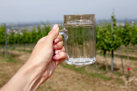 Cup of red wine on vineyard background in waiheke island in auckland, in a beautiful blue sky in summer timeの写真素材