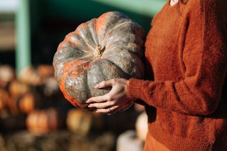 Female hands holding orange pumpkin on background of farmers market in brown sweater. Cozy autumn vibes Halloween party, Thanksgiving day.の写真素材
