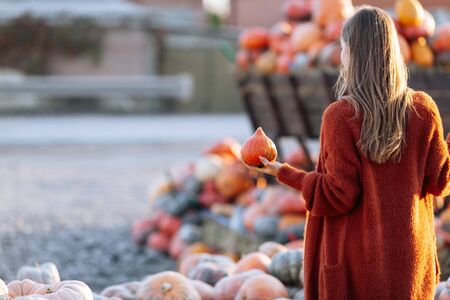 Back view of woman with small pumpkin in hand near wooden wagon with pumpkin on farmers market in...