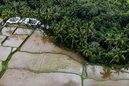 Rice Terrace Aerial Shot from drone. Image of beautiful terrace rice field with water and palm trees...