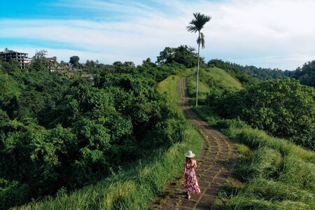 Back view of woman walking on Campuhan Ridge way of artists, in Bali, Ubud. Drone photo Copy space.の写真素材