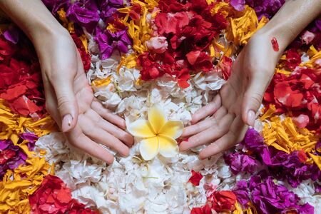 Top view womans hands holding frangipani on flowers petals in bath tub in luxury bathroom in hotel. Spa, self care, organic and skin care, beauty treatment concept.の写真素材