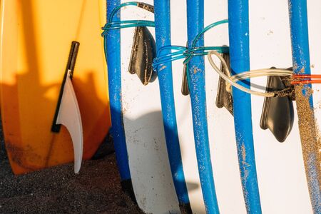 Many blue and white surfing longboard with surf fins and leash ready for rent. Set of multicolored...