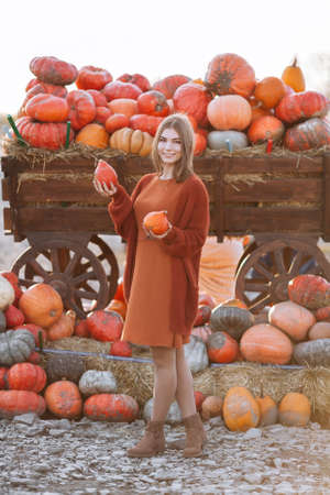 Portrait of happy smiling woman with small ripe orange pumpkins in hands near wooden wagon on farmers market in brown cardigan, dress. Cozy autumn vibes Halloween, Thanksgiving dayの写真素材