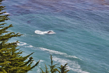 Hiking the Cruickshank trail in Big Sur