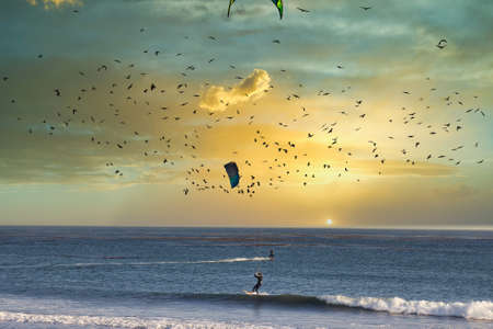 Kite surfing in Cambria Californiaのeditorial素材