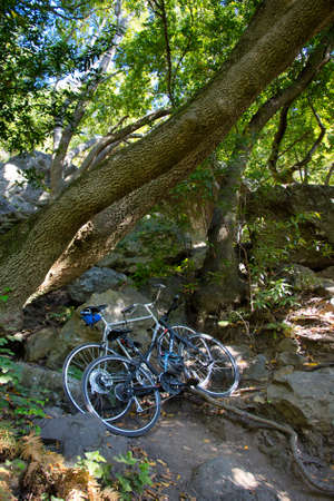 Hiking the salmon creek trail in Big Sur