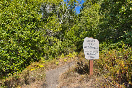 Hiking the Salmon creek trail in Big Surの写真素材