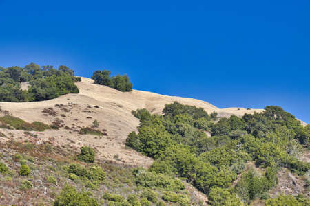 Hiking the Salmon creek trail in Big Surの写真素材