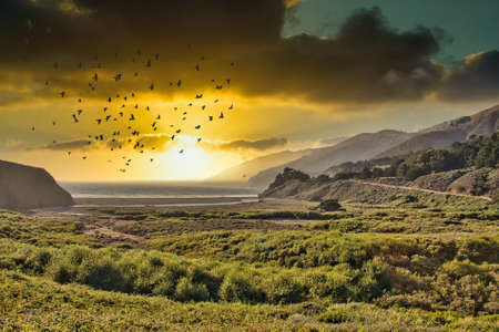Touring the pacific coast highway near San Simeon Californiaの写真素材
