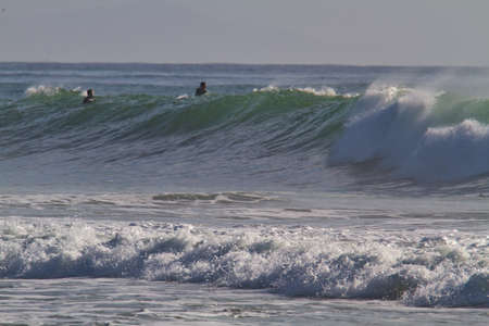 surfing at Rincon point in California