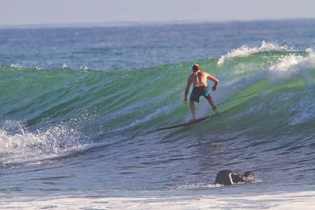 Surfing at the Rincon point in California