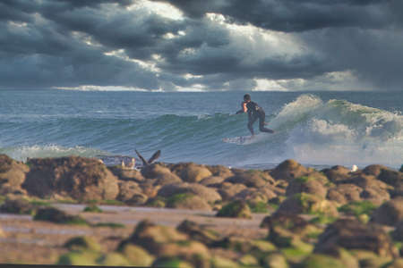 Surfing at Rincon in California