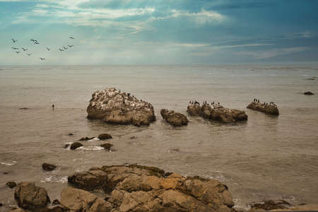 Hiking and surfing at sunrise in Cambria Californiaの写真素材