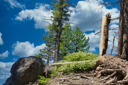 Rainbow Falls in Devils Postpile national monument