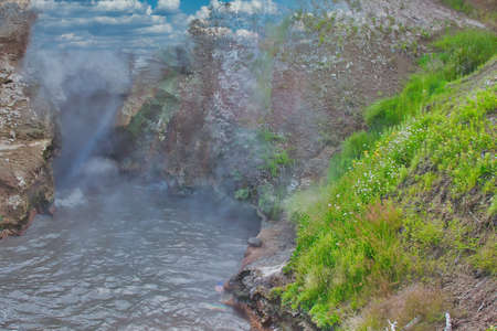 Yellowstone National Park in the summerの写真素材