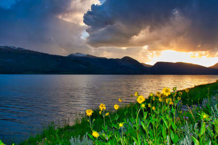 Yellowstone National Park in the summer