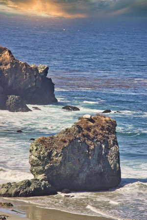 Surfing and bird watching at Sand Dollar Beach in Big Sur California