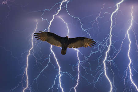 Hiking and bird watching at Sand Dollar Beach in Big Sur Californiaの写真素材