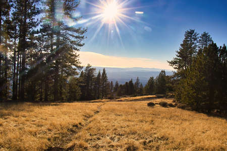 Hiking on Figueroa mountain in Santa Ynez Californiaの写真素材