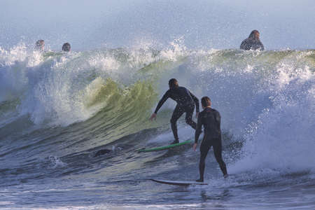 Surfing Rincon point in Californiaのeditorial素材