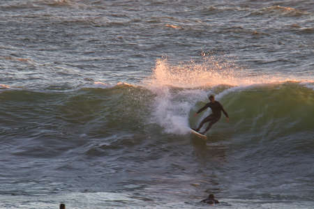 surfing Rincon cove in California