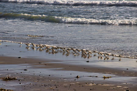 Winter storm approaches Rincon point in Californiaの写真素材