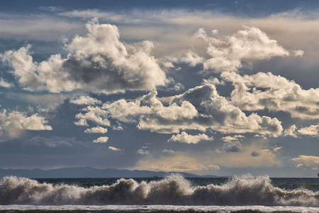 Sea birds, surfers and storm clouds at Rincon point