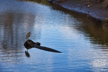 Hiking in the Carpinteria salt marshの写真素材