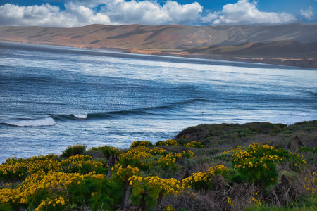 Jalama California in the springの写真素材