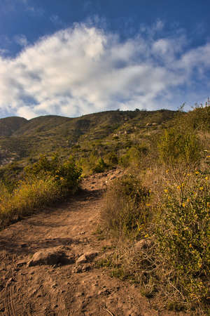 Hiking on the Franklin trail in Carpinteria Californiaの写真素材