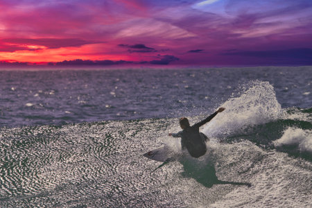 surfing summer waves in Malibuの写真素材