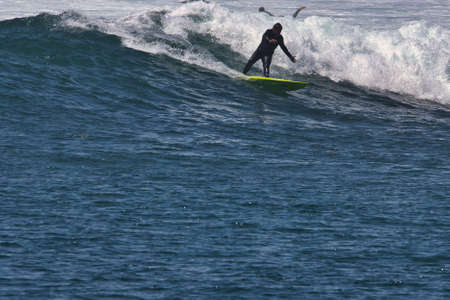Surfing summer waves in Malibu Californiaの写真素材