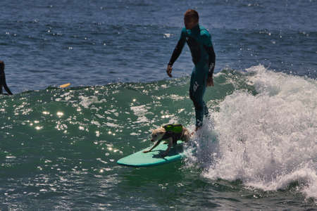 Surfing summer waves a Malibu beach